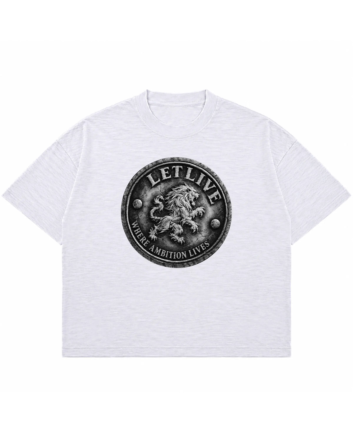 AMBITION SEAL BOXY SLUB T-SHIRT